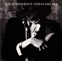The Waterboys - This Is The Sea (CD) | Discogs