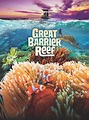 Great Barrier Reef – MacGillivray Freeman