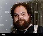 Mike McShane comedian and actor Mirrorpix Stock Photo - Alamy