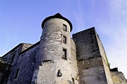 Castillo De Cognac El Chateau Des Valois En Charente Francia Imagen de ...