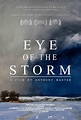Eye of the Storm (2021) - IMDb