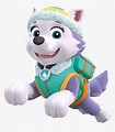 Everest Jumping Paw Patrol Png Png - Everest And Skye Paw Patrol ...