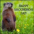 Happy Groundhog Day Image Quote Pictures, Photos, and Images for ...