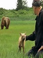 Watch The Grizzly Man Diaries Online - Full Episodes of Season 1 | Yidio
