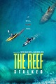 The Reef: Stalked (2022) Movie Information & Trailers | KinoCheck