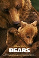 Poster zum Film Bären - Bild 72 auf 73 - FILMSTARTS.de
