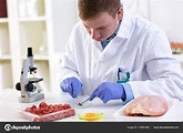 Scientist doing food control quality — Stock Photo © didesign #178801980