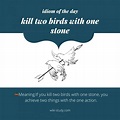 Idiom of the day: kill two birds with one stone - TV Acres