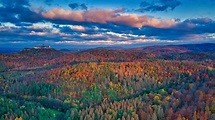 Forêt de Thuringe en automne et le château de la Wartbourg, Allemagne ...