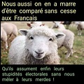 Vos infos, news ( et autres ) du 26 août 2020.. – Les moutons enragés