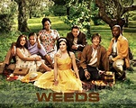 Weeds - Weeds Wallpaper (34569020) - Fanpop