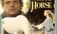 Legend of the White Horse - Where to Watch and Stream Online ...