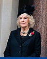 Camilla Duchess of Cornwall title: Why isn't Camilla a princess ...