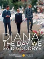 Diana: The Day We Said Goodbye (2017) - IMDb