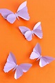 Cute DIY Easy Paper Butterfly Origami for Beginners - Horror ...