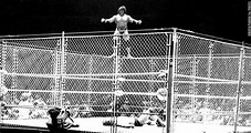 The 10 Best Cage Matches In WWE History Ranked