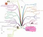 The 10 Points Of Karl Popper: iMindMap mind map template | Biggerplate