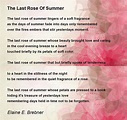 The Last Rose Of Summer - The Last Rose Of Summer Poem by Elaine E. Brebner