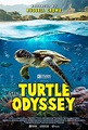 Turtle Odyssey - Documentaire (2018) - SensCritique