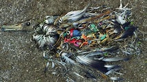 30 Heartbreaking Photos of Pollution That Will Leave You Furious - News
