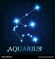 The aquarius zodiac sign of the beautiful bright Vector Image