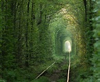 Tunnel of Love, Ukraine | 83 Unreal Places You Thought Only Existed in ...