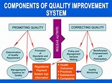 (PDF) Components of quality improvement system