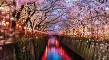 Visit Setagaya: 2024 Setagaya, Tokyo Travel Guide | Expedia