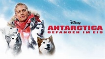Antarctica - Gefangen im Eis streamen | Ganzer Film | Disney+