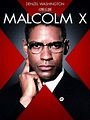 Рецензии на фильм Малкольм Икс / Malcolm X, отзывы