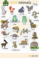 Learn Animal Names in English - ESLBuzz Learning English