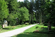 Auf dem wunderschönen Waldfriedhof spazieren gehen | Mit Vergnügen München