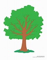 Tree Templates | Tree Printables