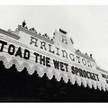 Welcome Home : Live At The Arlington Theater 1992 : Toad The Wet ...