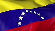 Venezuela Waving Flag Background Loop Stock Motion Graphics SBV ...