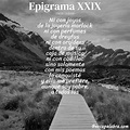 Poema Epigrama XXIX de Ernesto Cardenal - Análisis del poema
