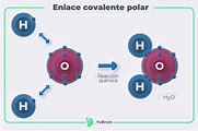 Definición y ejemplos de enlace polar en química - Química - YuBrain