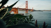 Die schönsten San Francisco Sehenswürdigkeiten mit Geheimtipps