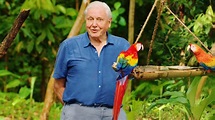 Life in Color with David Attenborough | Netflix Official Site