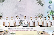 泰國公衛部長簽署公文！宣告大麻合法化 在家可種植大麻 | 國際 | 三立新聞網 SETN.COM