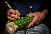 Hanunoo script on fresh bamboo. | Jacob Maentz