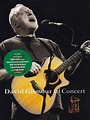 David Gilmour In Concert DVD | Pulse & Spirit