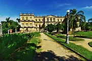 Museu Nacional no Rio de Janeiro - 200 anos de história - Free Walker Tours