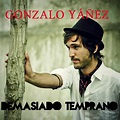 Plastic Jungle!: Gonzalo Yáñez nuevo single: Demasiado Temprano