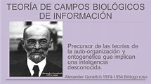 Alexander Gurwitsch: La teoría de los campos biológicos de información ...