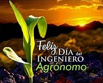 Total 62+ imagen frases para el dia del agronomo - Abzlocal.mx