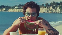 Harry Styles' Watermelon Sugar Music Video Is All About Touching | E! News