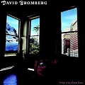 Long Way from Here: David Bromberg: Amazon.fr: CD et Vinyles}