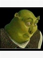 Shrek Face Meme Premium Matte Vertical Poster Designed & Sold By Gary ...