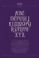 Bauhaus Typography, Art Nouveau Typography, Typography Fonts Alphabet ...